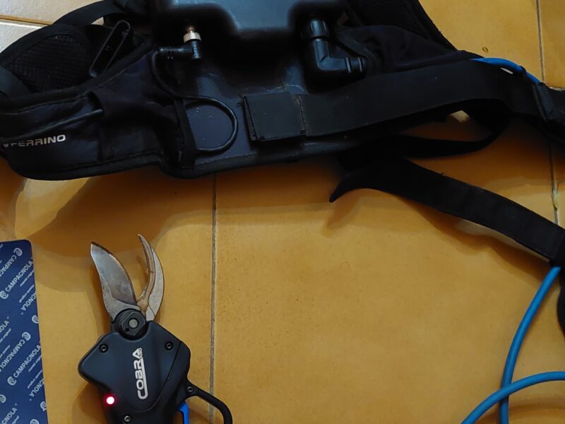 FORBICE ELETTRICA CAMPAGNOLA COBRA PRO 170
