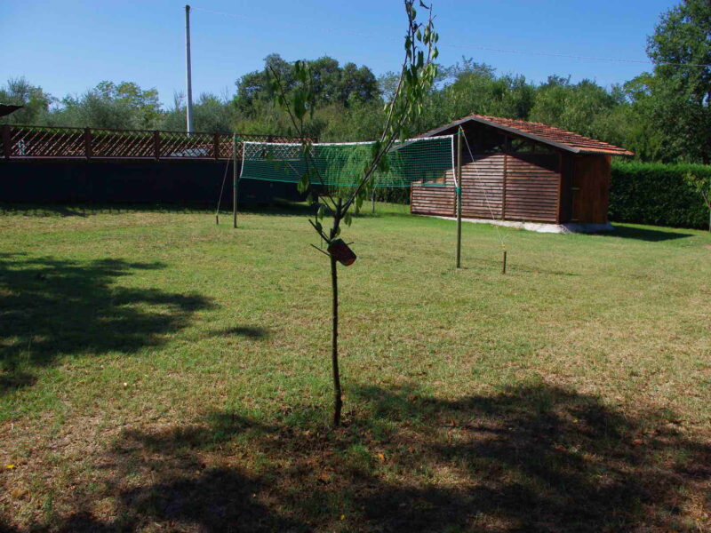 Vendo o Affitto terreno con Piscina e Roulotte