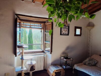 Affitto casa indipendente in località Meliciano