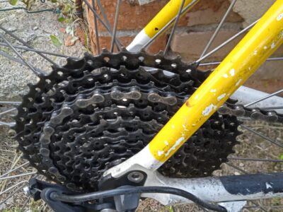 Bicci corsa, Tacconi Teem